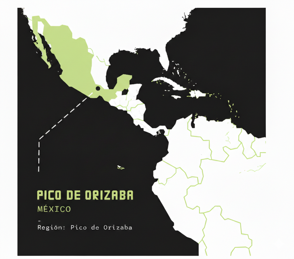 Café de Especialidad Pico de Orizaba - México 250g