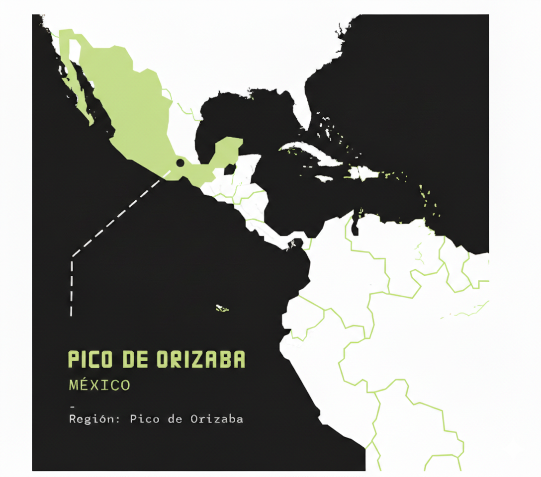 Café de Especialidad Pico de Orizaba - México 250g